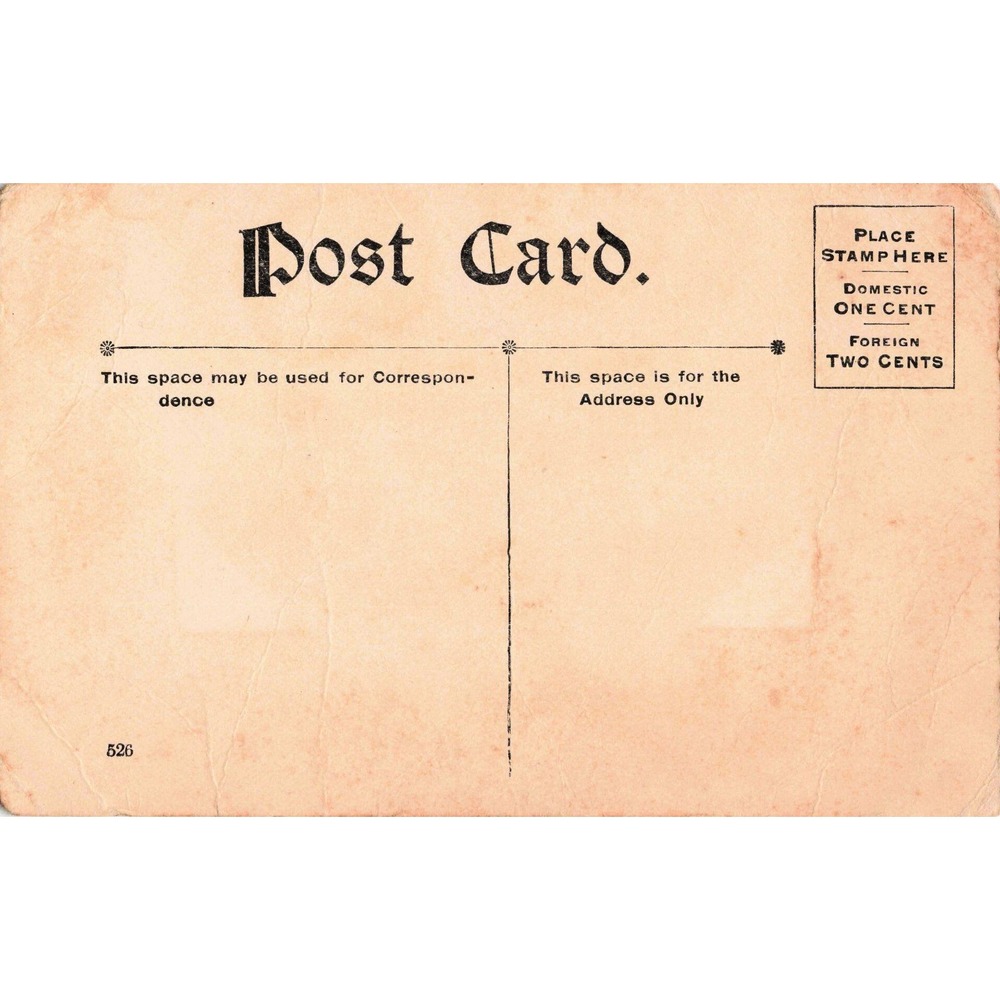 Vtg 1905 Little Friends Postcard Bernhardt Wall Dutch Girl Cat Kitten Doll - Picture 2 of 2